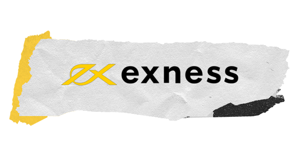 Exploring the Exness Web Platform A Guide for Traders