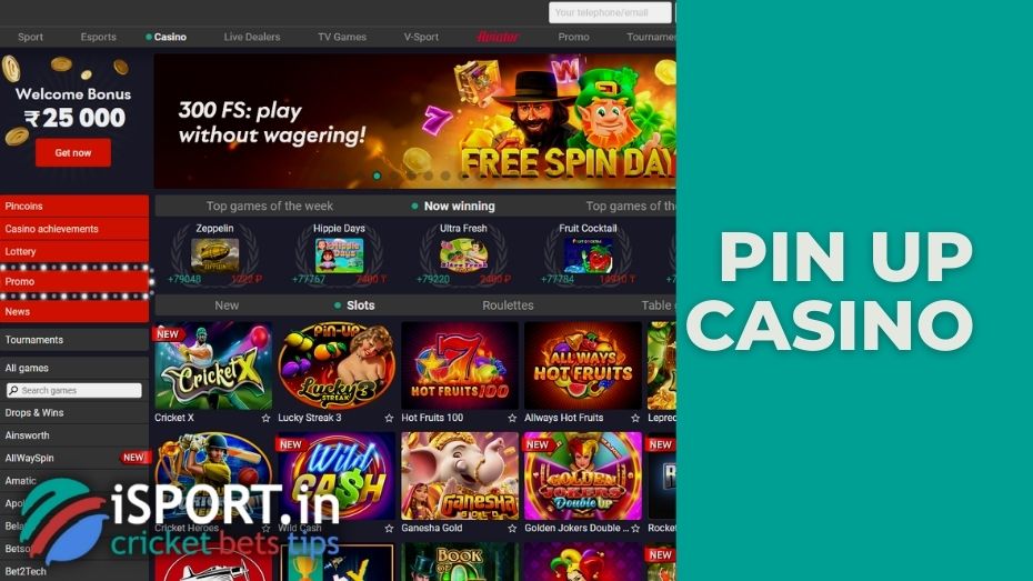 casino pin up game casino pin up game