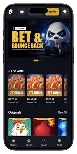 Understanding the Intricacies of Crypto Casinos